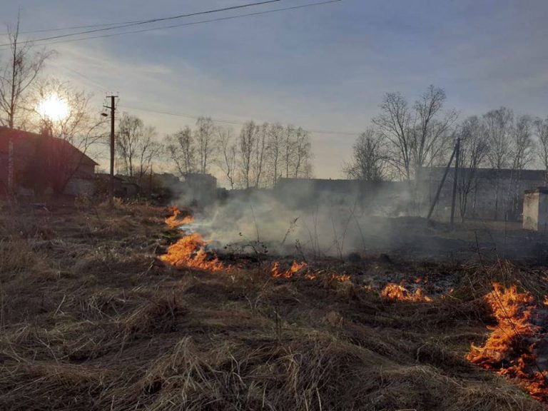 У Богородчанському районі не вщухають пожежі сухої трави (ФОТО) 2 goryt 1