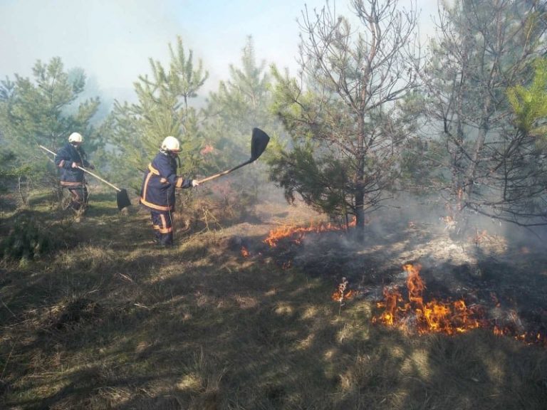 Прикарпатці далі палять суху траву (ФОТО) 2 pozhezha