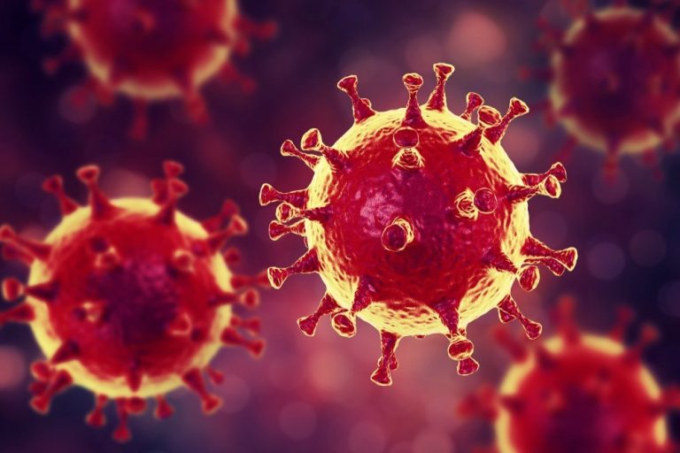 Бурштин у паніці, хоча наразі нема чого 11 virus