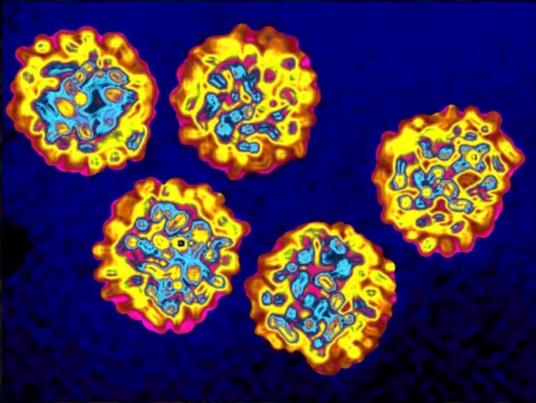 Koronavirus2