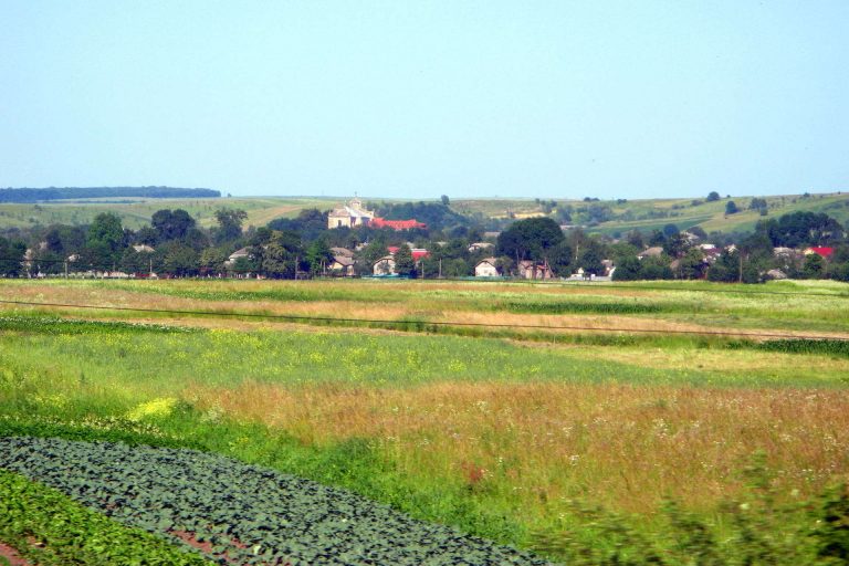 В Більшівцівській ОТГ вирощують кіз та розводять бджоли 9 bilshivtsi 1 bilshivts