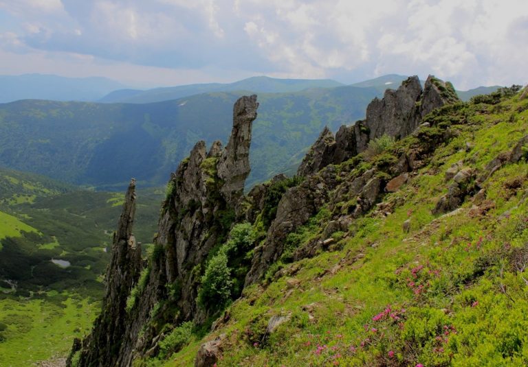 shputsi 6