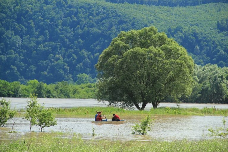 У підтоплених селах Городенківщини поволі спадає вода 11 105980498 899281093813366 8855622858059007495 n