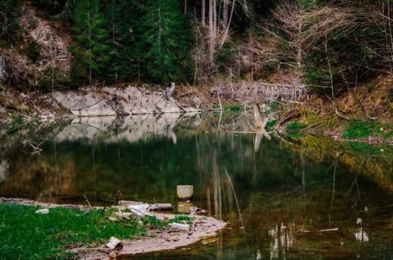У Карпатах через повінь зникло унікальне озеро (ФОТО) 7 4 5dd10284e750e 800x530 1