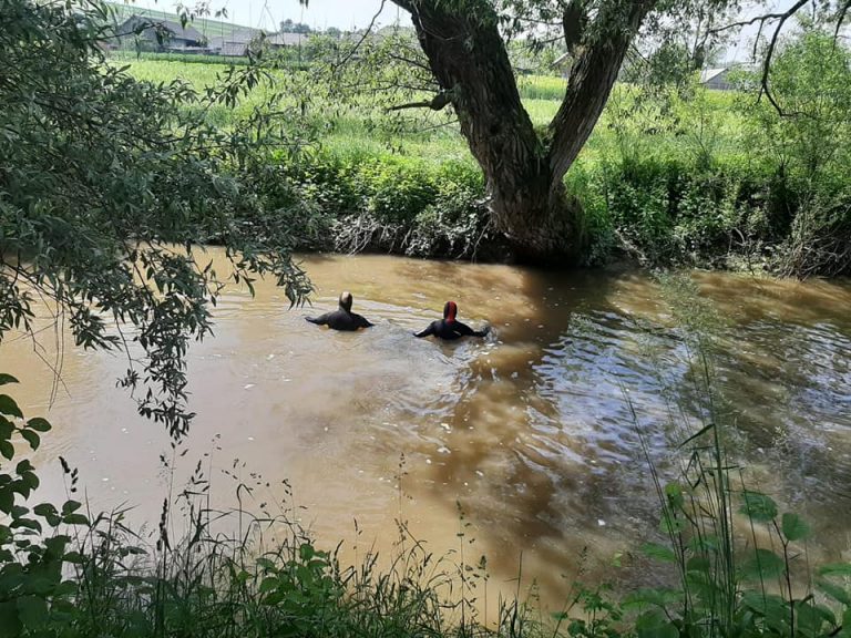 83034668 3004162083036940 95891235843527226 n