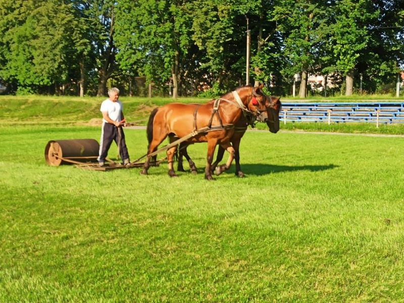 Пара коней та фірман-садівник: як у Тисмениці готують до матчу футбольне поле ФОТО