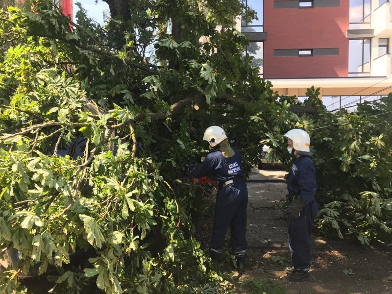 Рятувальники допомагають постраждалим внаслідок падіння дерева