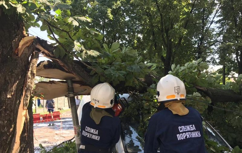 Рятувальники розпилюють гілки дерева, що впало