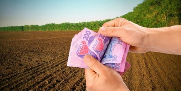 На Прикарпатті прокуратура вимагає повернути громаді землю вартістю понад 15 млн. грн 2 Zemlya02