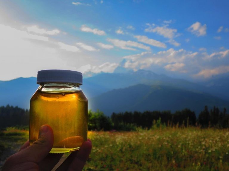 На Косівщині створюють медові маршрути 12 gornyj med proizvoditeli i otlichitelnye svojstva produkta 1 5d931ee7bb0a7