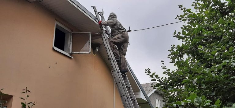 117144218 1021768964948153 753333840183905306 o
