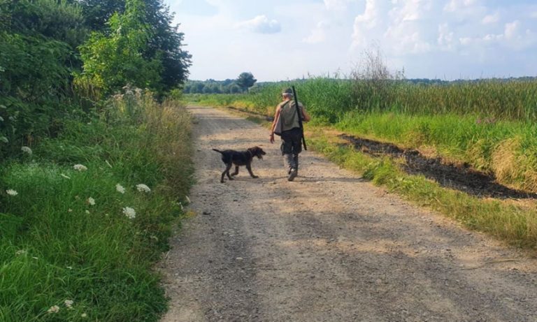 Мисливців Прикарпаття попереджають: не більше трьох куріпок на "однин ствол" 2 11766508067082 o