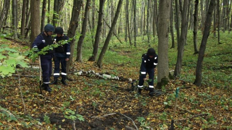 У лісі заблукала 71-літня прикарпатка: її шукали більше ніж 20 людей та 2 собаки 11 1499509746 111111111 900x600 1280x720 1