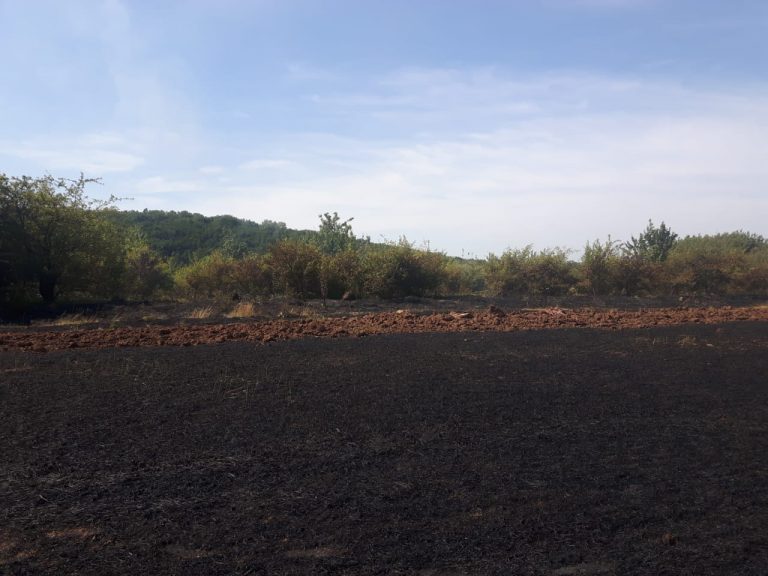 На Городенківщині згоріли 2 гектари пшеничного поля (ФОТО) 6 WhatsApp Image 2020 08 04 at 11.28.54