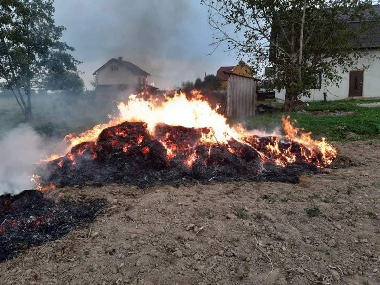 На Прикарпатті палії сміття втікали від працівників МАРСу 9 палії сміття, трави