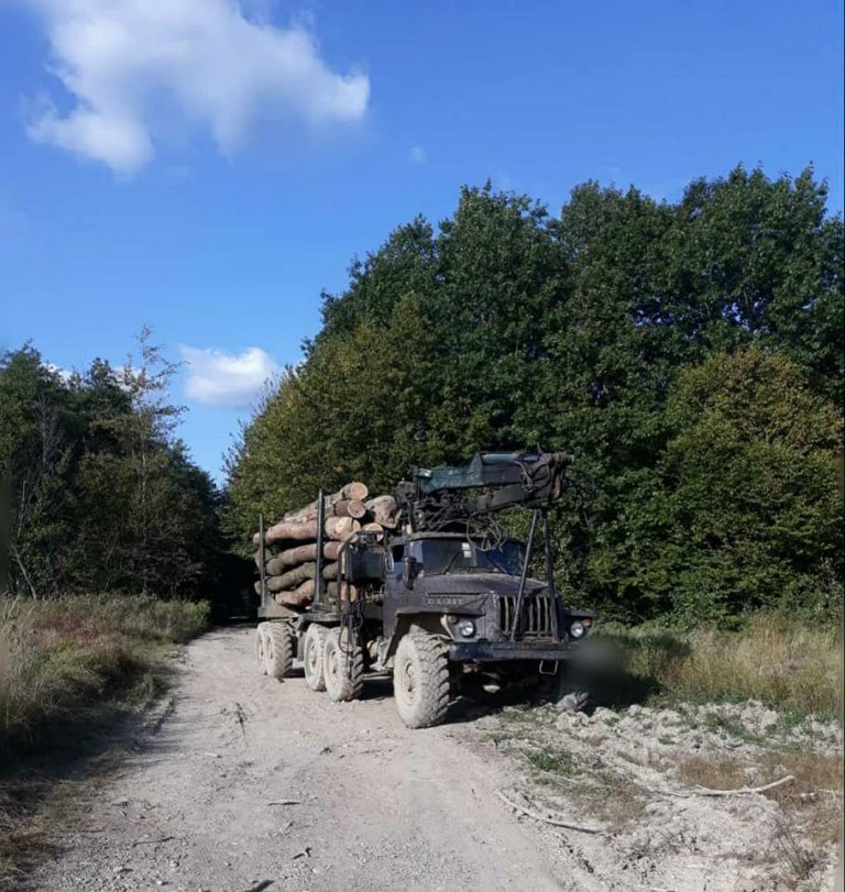На Прикарпатті викрили незаконну порубку лісу 5 120016537 4805885456118723 6418689000518855602 n