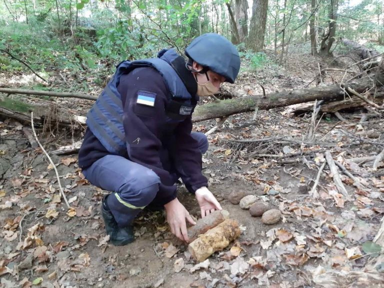 У Богородчанському районі пролунали вибухи 11 У Богородчанському районі працювали піротехніки.