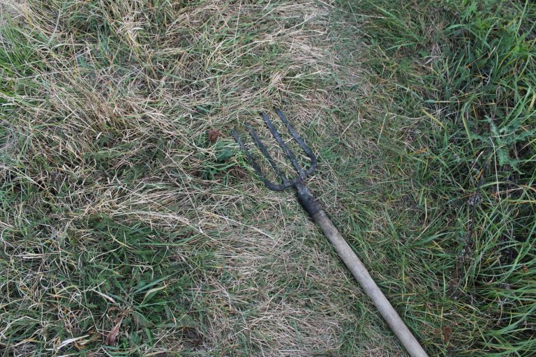 В Чукалівці муніципали сполохали палійку трави: жінка загубила вила (ФОТО) 1 120157757 1879864892153762 3379034234341595540 o