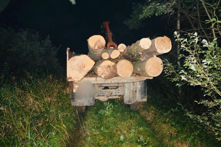 На Калущині лісівник крав бук (ФОТО) 9 120221580 4833379090036026 7270862246965299793 n