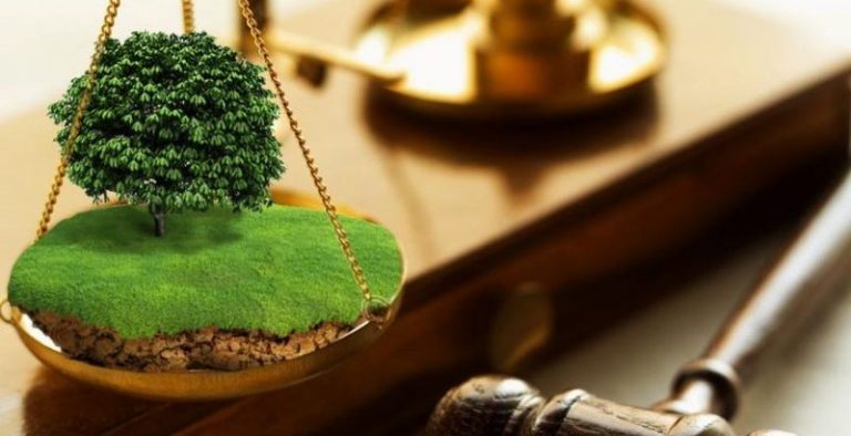 Мешканка Долинщини поверне землю громади вартістю 150 тисяч гривень