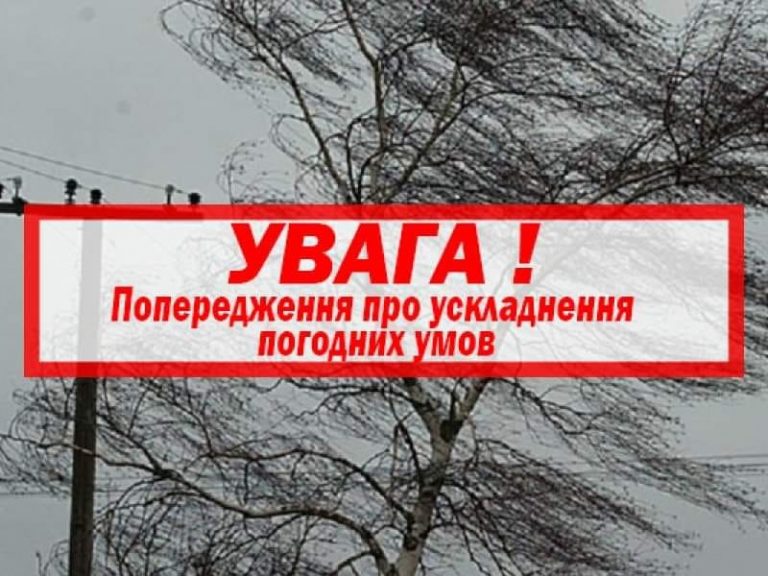 120561377 3330675217052290 5464493901786329789 n
