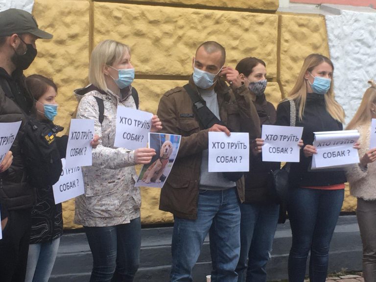 Отруєння собак у Франківську: люди вийшли на протест (ФОТО) 4 121329027 361467251957276 819557456113032447 n
