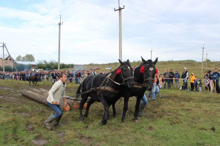 На Коломийщині відбулися кінні перегони: переможці отримали по 2 тисячі гривень (ФОТО) 9 На Коломийщині, в Печеніжинській ОТГ провели кінні змагання