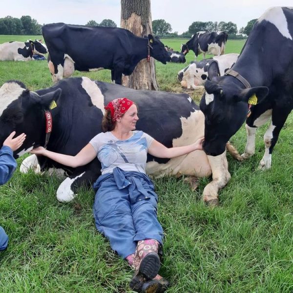 Обійми з коровами для зняття стресу застосовують у Нідерландах