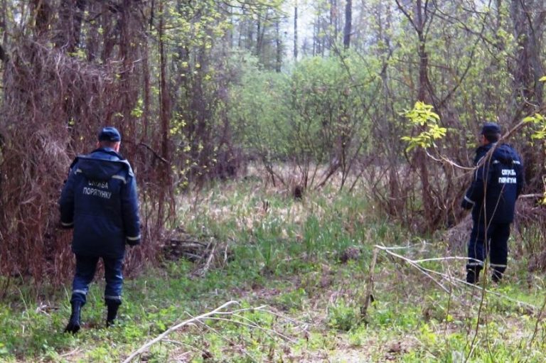 Пішов в ліс та не повернувся: на Долинщині рятувальники шукали грибаря 3 IMG 20160423 100650 e1505023138262