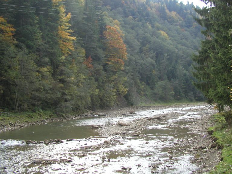 На Прикарпатті очікується підвищення рівня води у гірських річках 5 Prutets Tatariv