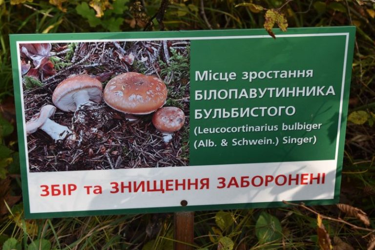 В Галицькому національному парку