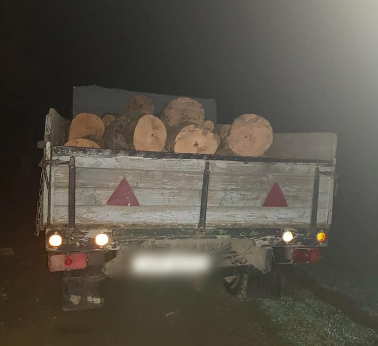 На Прикарпатті виявили незаконну рубку лісу та крадіжку деревини (ФОТО) 4 126381700 5097882136919052 3145684687485352991 n