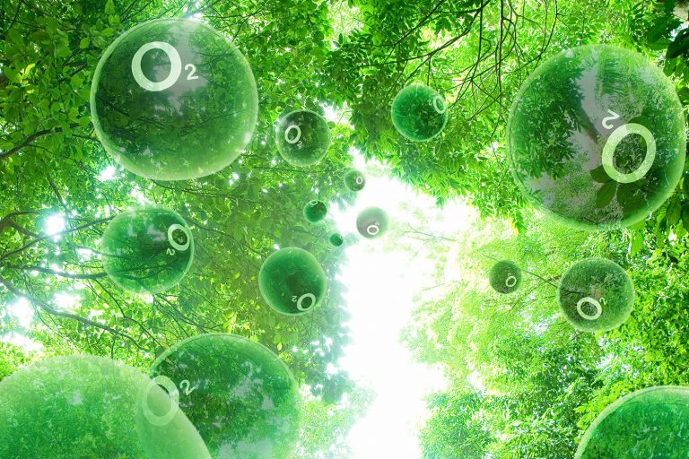 Науковці розповіли, як збільшити тривалість життя 3 TreesOxygen 58ebbd3f5f9b58ef7e70ba7a