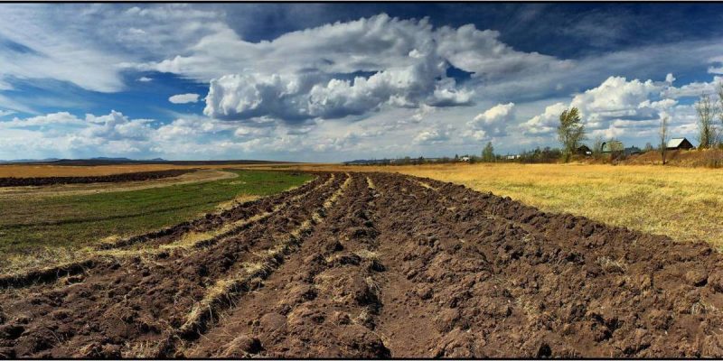 В Україні законні 2 гектари землі отримають не всі