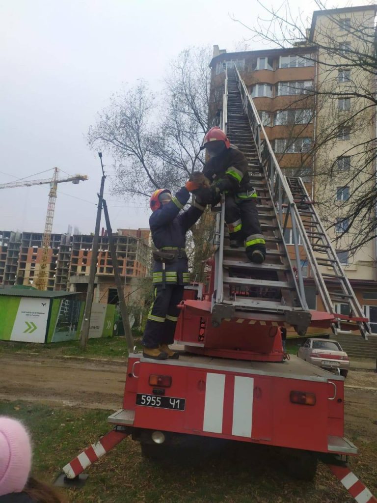 В Івано-Франківську застосували спецтехніку, щоб врятувати кота 9 128586817 3486332331486577 3225350299015491675 o