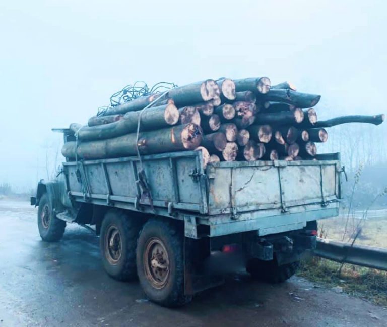 На Прикарпатті вкрали деревину зі складу лісництва (ФОТО) 11 131336520 5226771724030092 4071585019977155609 n
