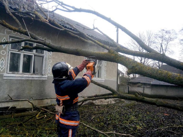У Тязеві на Франківщині впало дерево на житловий будинок (ФОТО) 12 У Тязеві на Франківщині на житловий будинок впало дерево (ФОТО)