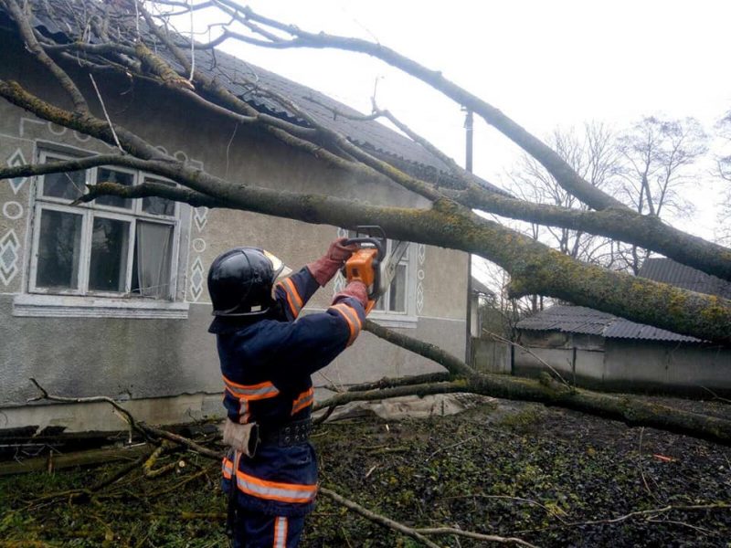 У Тязеві на Франківщині на житловий будинок впало дерево (ФОТО)