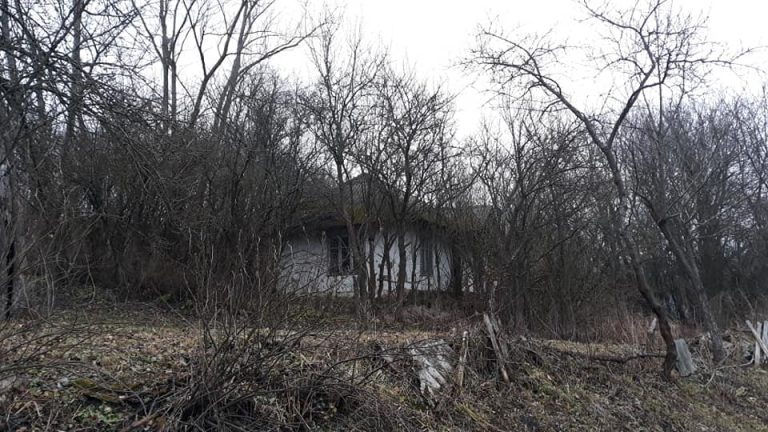 Порожні вулиці і хати: на Прикарпатті дослідники виявили село-привид (ФОТО) 8 136044468 3643418175738673 6796845684609893802 n