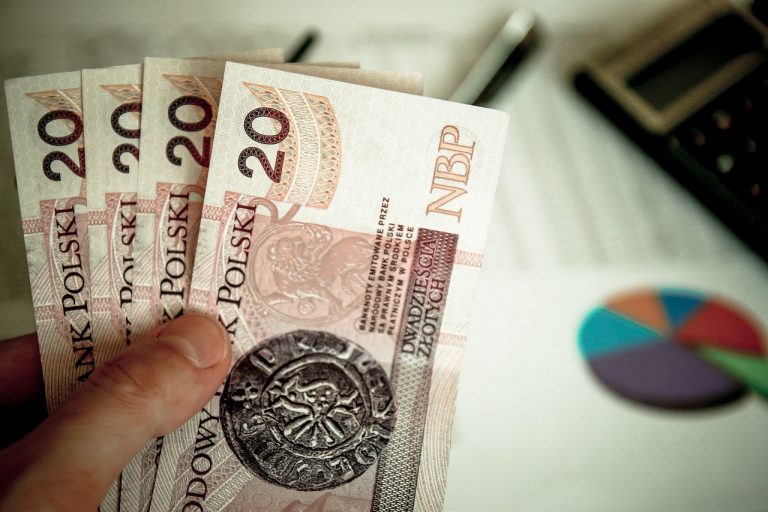 У Польщі виступили за скасування пенсій українським заробітчанам 3 У Польщі виступили за скасування пенсій українським заробітчанам