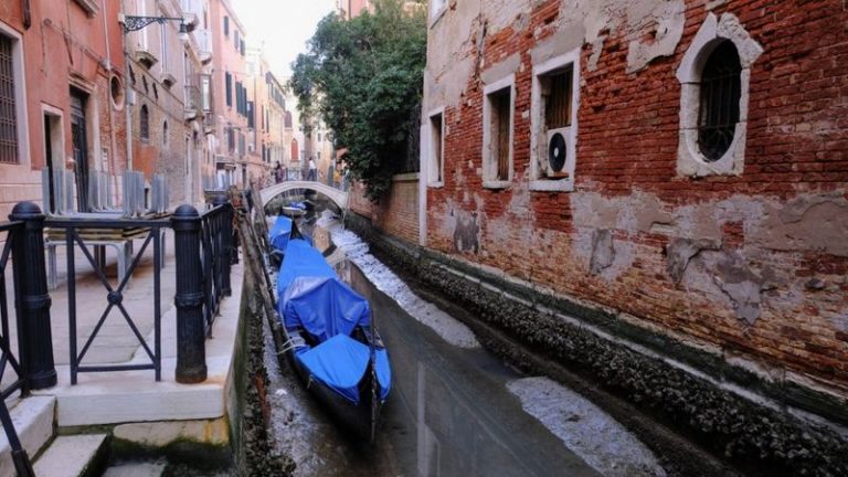 117331092 venice dry reu