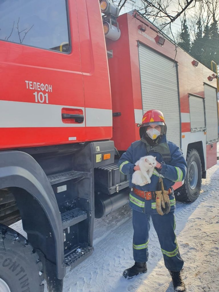 У Надвірній застосували спецтехніку, щоб врятувати кота 10 145798560 3646357092150766 3131031089929462353 o