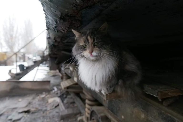 Під Одесою сім'ї залізничників живуть у поржавілих вагонах (ФОТО)