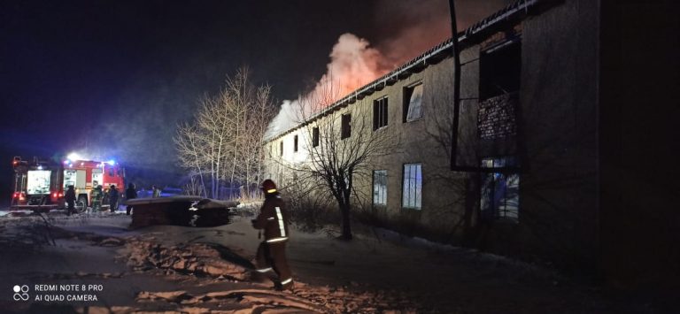 На Прикарпатті вогонь знащив столярний цех (ФОТО)