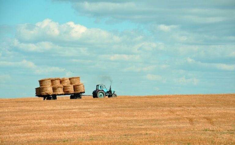 В Івано-Франківській області найдешевша земля 1 zemlya.780x480