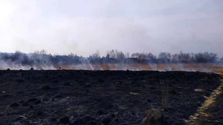 На Прикарпатті за добу 18 пожеж сухої трави: в яких населених пунктах (ФОТО) 9 165522423 1093103097867211 4495996858857887875 n