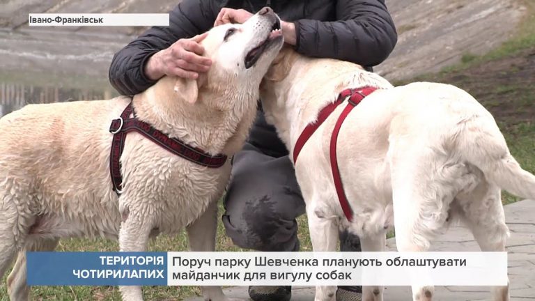У Франківську облаштують спеціальний майданчик для вигулу собак (ВІДЕО) 12 maxresdefault 7
