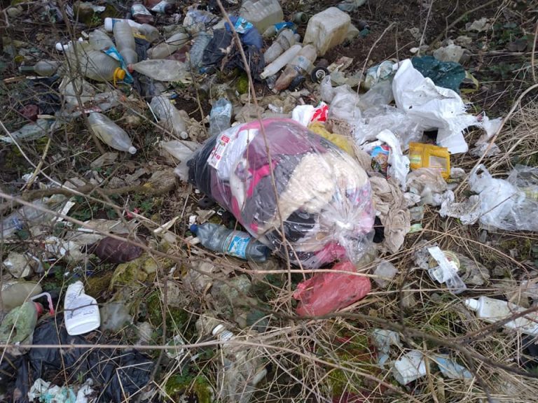 На околиці Снятина люди влаштували сміттєзвалище: небайдуші закликають схаменутися (ФОТО)