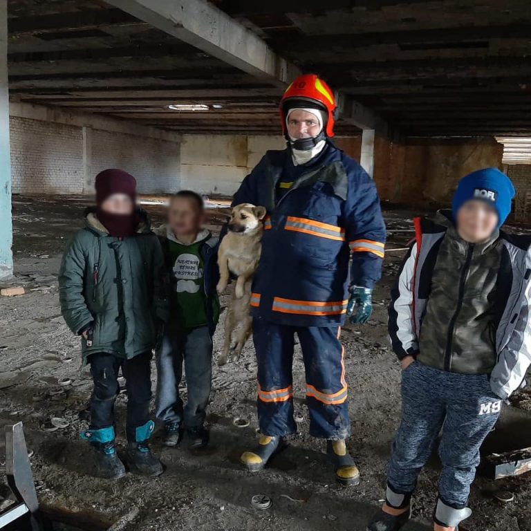 На Долинщині врятували собаку (ФОТО) 2 170421030 3825066750946465 3288310255398153822 n