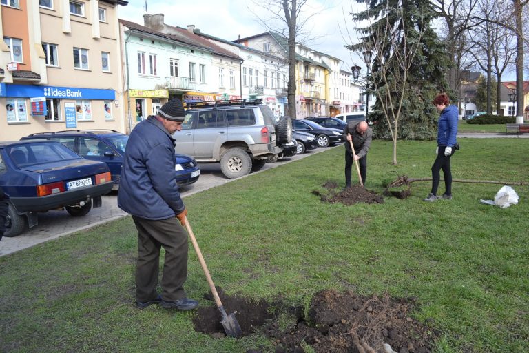 Сакури прикрашатимуть адміністративний центр Галицької громади (ФОТО) 7 Сакури прикрашатимуть адміністративний центр Галицької громади (ФОТО)